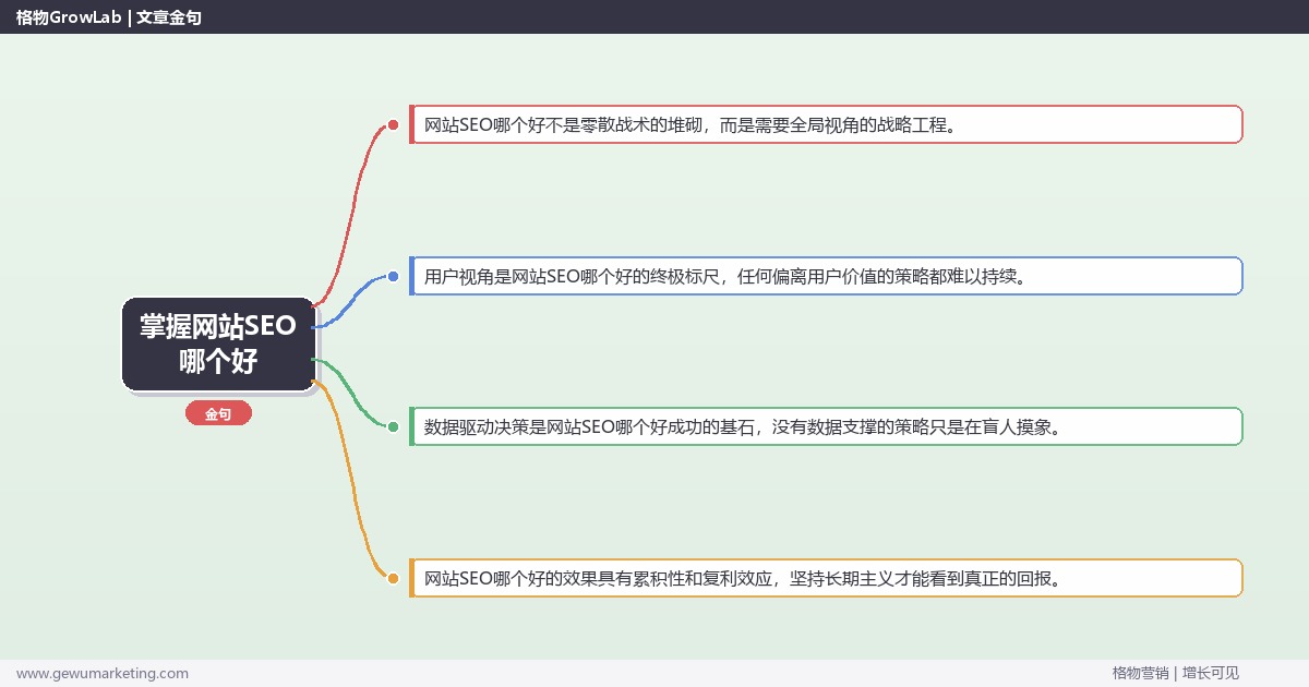 掌握网站SEO哪个好：对比网站SEO的不同方案的系统性方法