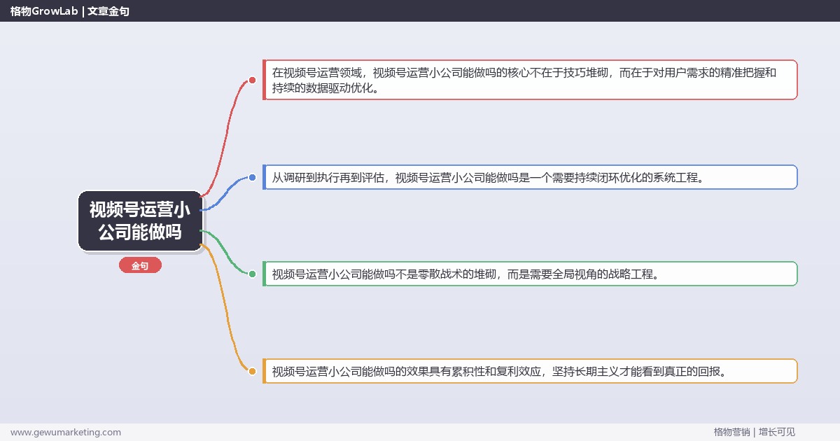视频号运营小公司能做吗：分析小企业是否适合视频号运营完整指南