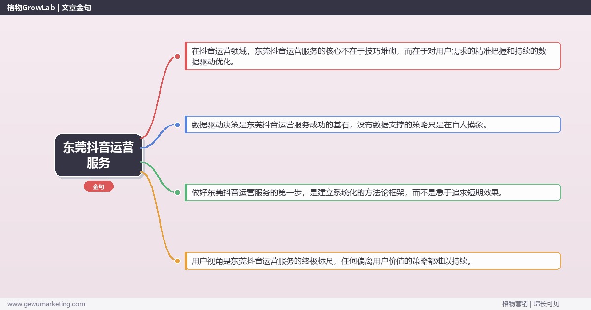 东莞抖音运营服务：介绍东莞地区抖音运营服务情况完整指南