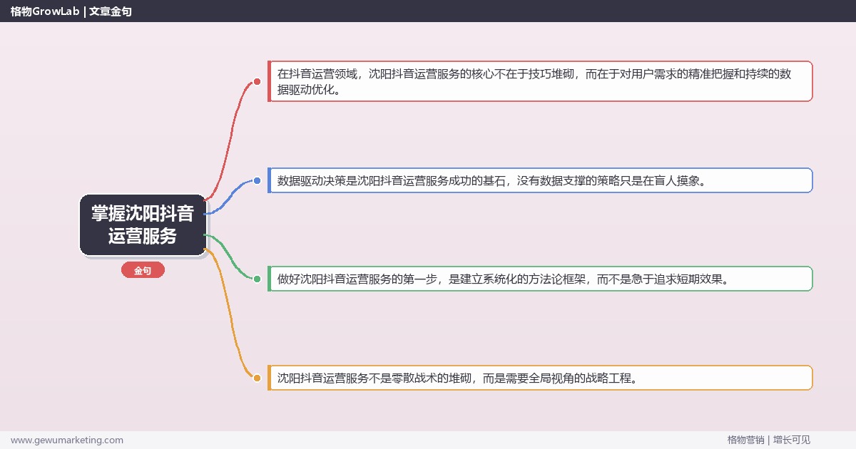 掌握沈阳抖音运营服务：介绍沈阳地区抖音运营服务情况的系统性方法