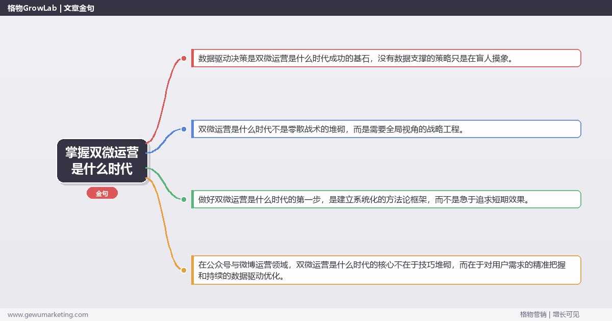掌握双微运营是什么时代：分析双微运营所处的时代背景的系统性方法