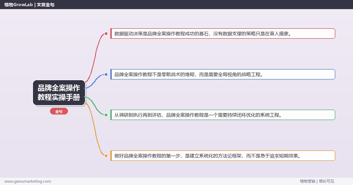品牌全案操作教程实操手册：策略、工具与案例分析